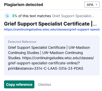 Plagiarism Detection